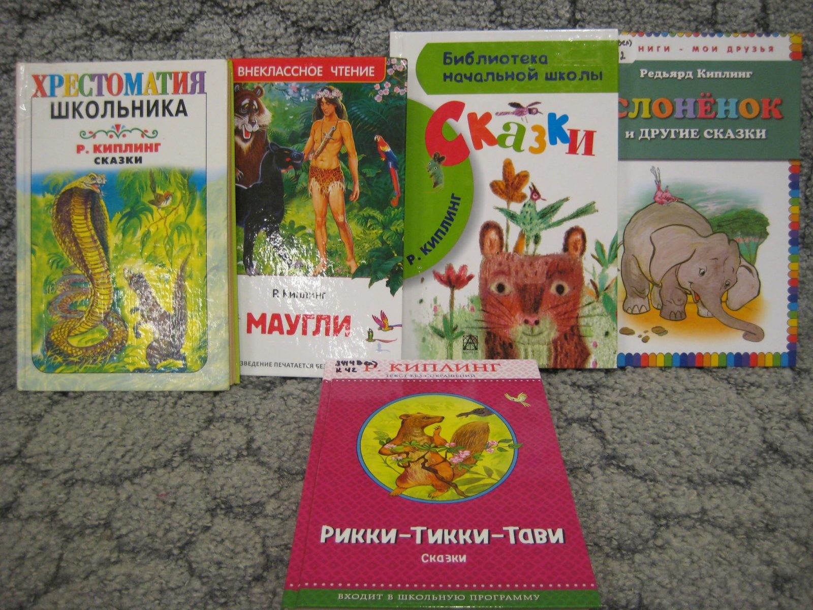 Выставка «Привет из джунглей»