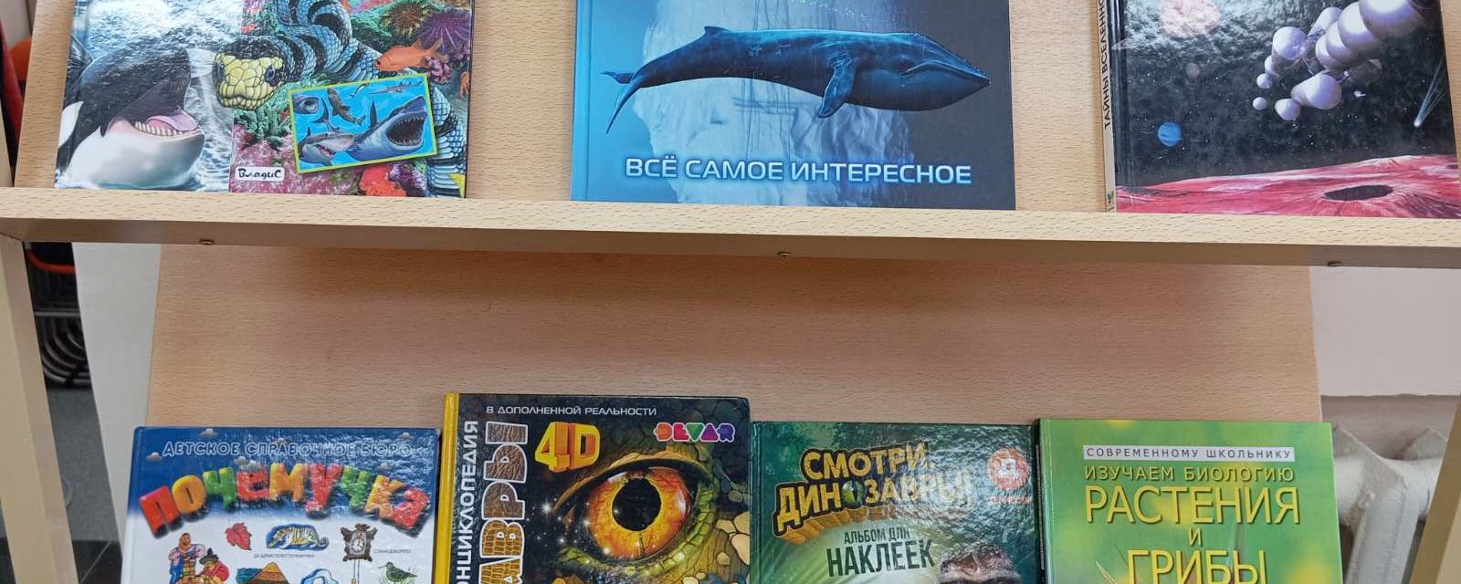 Книжная выставка «Детям обо всем на свете»