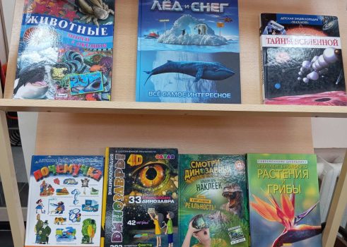 Книжная выставка «Детям обо всем на свете»