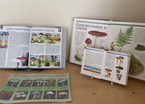 Книжная выставка «Тайны грибного царства»