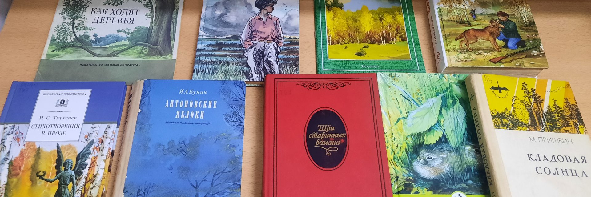 Литературная экскурсия «Эта прекрасная осень»